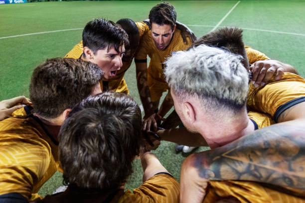 以其细腻的 以其细腻的